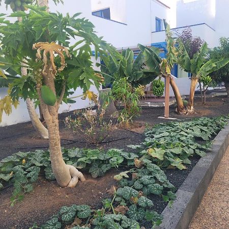 Nenita Apartment Caleta De Fuste Ngoại thất bức ảnh